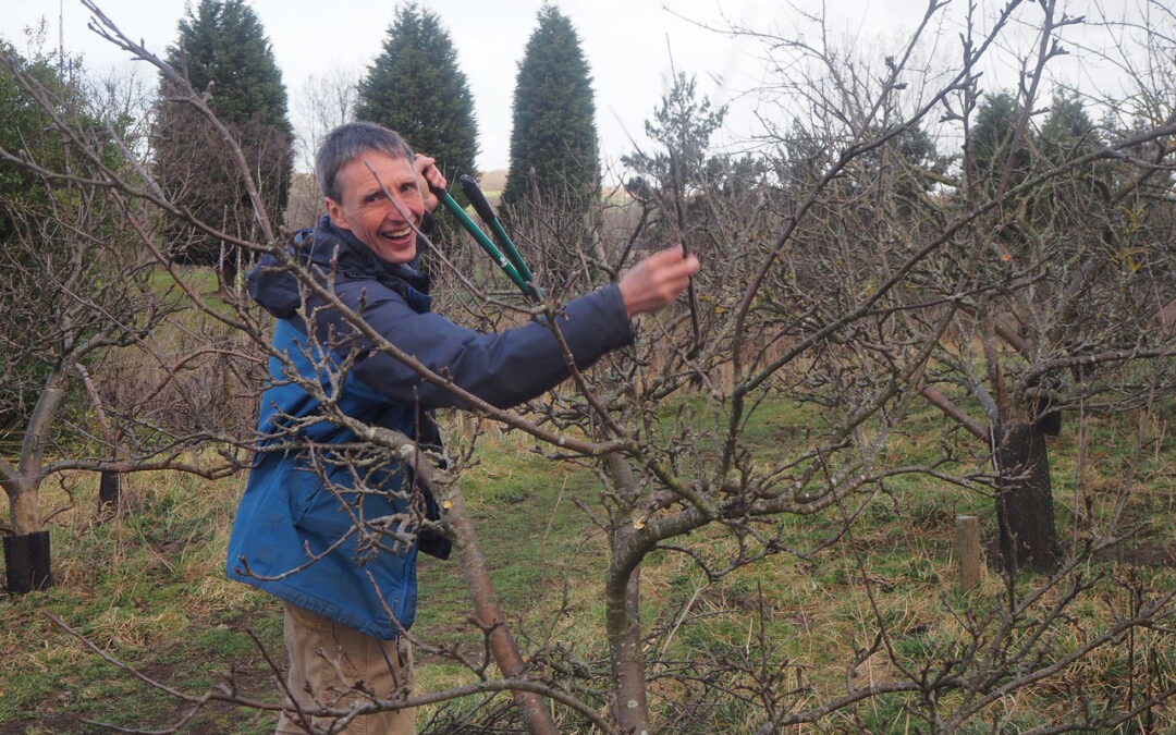 Community Pruning